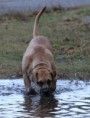 /album/anka/soesterberg-7-jpg/